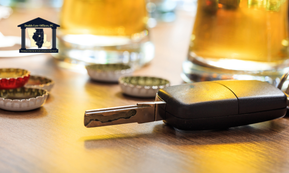 Illinois Drunk Driving Liability House Bill 1155 explained by Terry Dodds